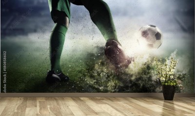 Fototapeta Strzał na bramkę