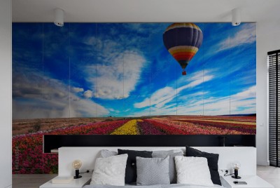 Naklejka na szafę Malowniczy balon na tle błękitnego nieba 