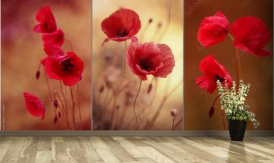 Fototapeta Makowy kolaż