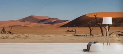 panorama-sossusvlei