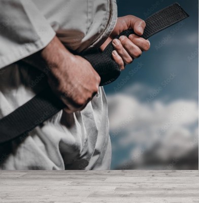 Fototapeta Pas karate