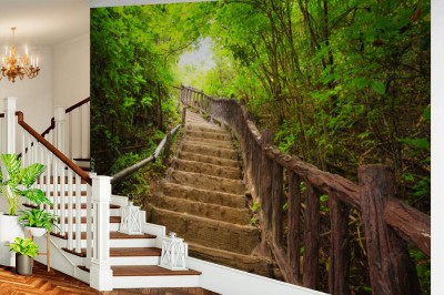 Fototapeta Schody do lasu