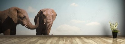 Fototapeta Słonie na tle nieba