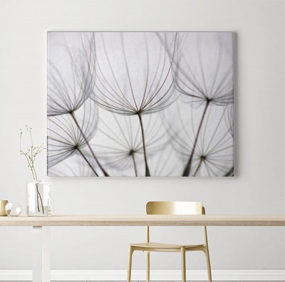 Obraz na płótnie Nasiona mniszka lekarskiego - Dmuchawca