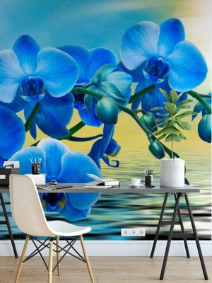 Fototapeta Kwiat orchidei w ujęciu makro