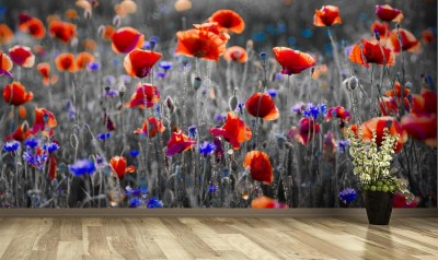 Fototapeta Panorama czerwonych maków i błękitnych chabrów bławatków