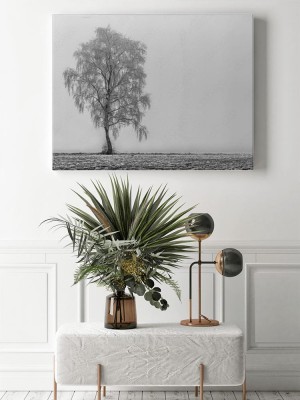 Obraz na płótnie Samotne Drzewo