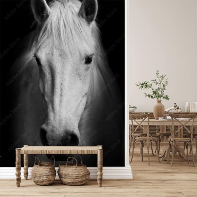 Fototapeta Biały koń na czarnym tle - czarno biały portret