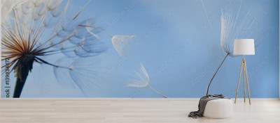 romantyczna-natura-z-dmuchawcem-w-tle