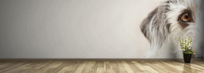 Fototapeta z panoramicznym psim motywem