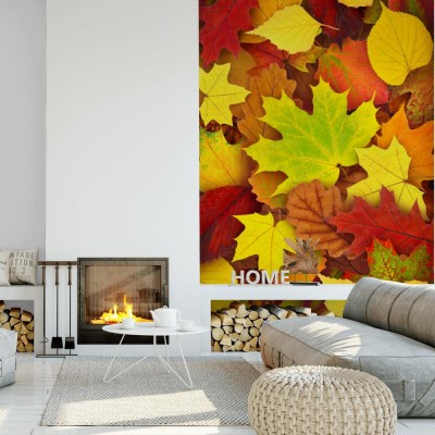 Fototapeta Kolorowe jesienne tło