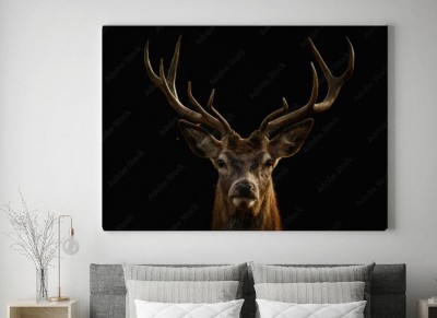Obrazy do salonu Portret Jelenia na czarnym tle