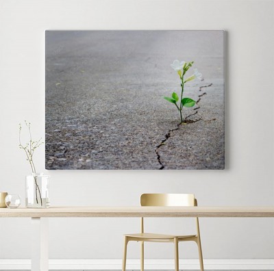 Obraz na płótnie Zieleń kiełkująca z szarości