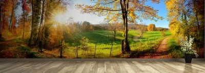 Fototapeta Epicki jesienny krajobraz lesny