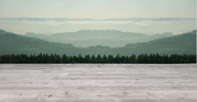 Fototapeta Niesamowity panoramiczny krajobraz mgły w czarnym lesie