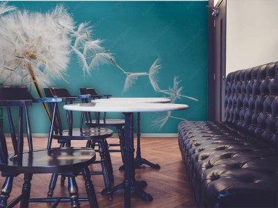 Fototapeta  Odlatujemy, aby spełnić życzenia