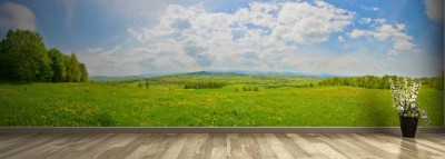 Fototapeta Wiosenna wieś