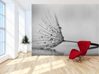 Fototapeta Mokry mniszek lekarski na białej, błyszczącej powierzchni z małymi kropelkami