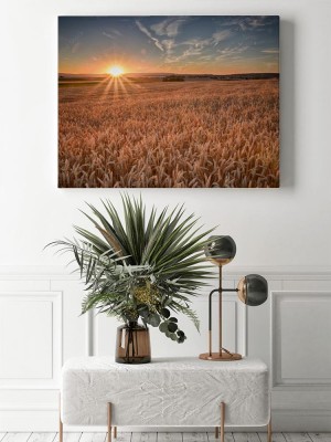 Obrazy do salonu Zachód słońca na polu pszenicy
