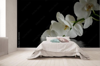 Fototapeta Biała orchidea na czarnym tle odbijającym się w wodzie