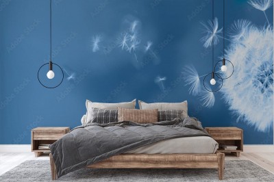 Fototapeta Biały mniszek lekarski na granatowym tle