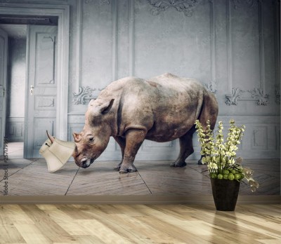 Fototapeta Nosorożec w salonie