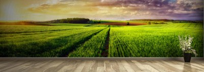 Fototapeta Panorama krajobrazowa zachodzącego słońca na wsi