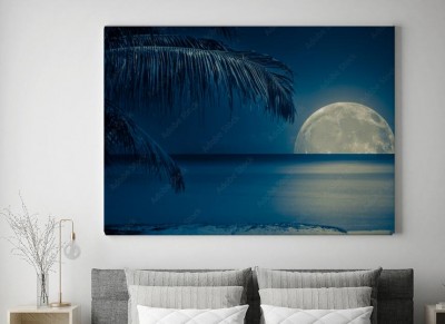 Obraz na płótnie Księżyc odbijał się na wodzie tropikalnej plaży