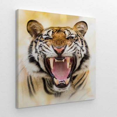 Obraz na płótnie Ryk tygrysa syberyjskiego