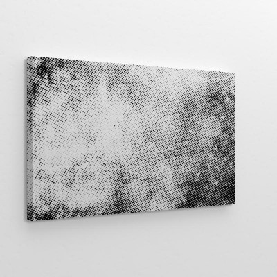 Obrazy do salonu Subtelna czarno-biała abstrakcja