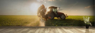 Fototapeta Ciągnik opryskujący pole soi na wiosnę