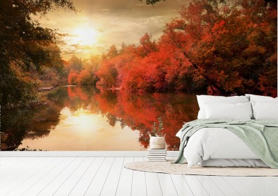 Fototapeta Piękna jesienna sceneria leśnego krajobrazu z pływającym po jeziorze białym łabędziem