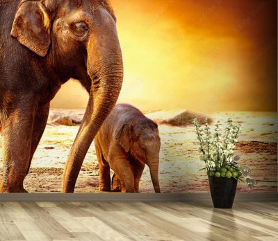 Fototapeta Słoń i słoniątko