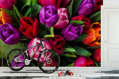 Fototapeta Tło z wielu kolorowych tulipanów