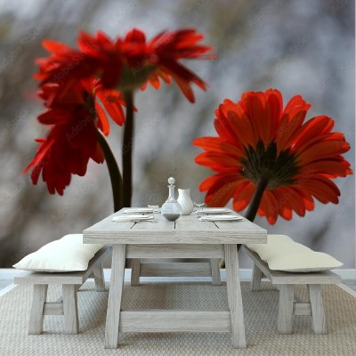 Fototapeta Trzy czerwone gerbery