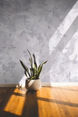 Fototapeta Jasnoszara panterka