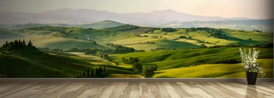 Fototapeta Piękne panoramiczne ujęcie zielonego krajobrazu