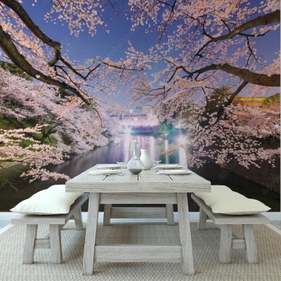 Fototapeta Wiśniowe kwiaty w nocy