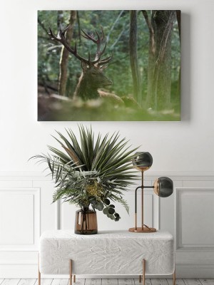 Obraz na płótnie Jeleń podczas odpoczynku