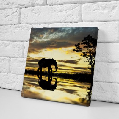 Obraz na płótnie Słoń przy tafli jeziora