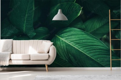 Fototapeta abstrakcyjny wzór tropikalnej rośliny liści w wiosennym ogrodzie