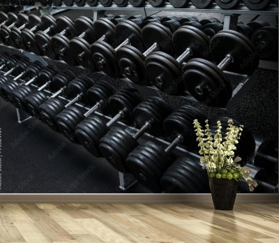 Fototapeta Hantle w siłowni