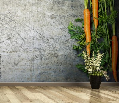 Fototapeta Marchewki na szarym tle