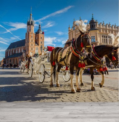 Fototapeta Powozy konne na Rynku Głównym w Krakowie