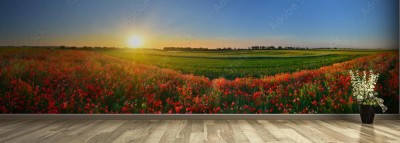 Fototapeta Wiejska panorama makowego pola