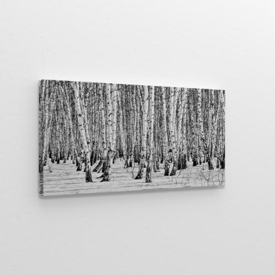 czarno-bialy-krajobraz-przedstawiajacy-brzozowy-las-zima