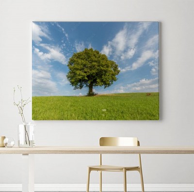 Obraz na płótnie Drzewo na wzgórzu