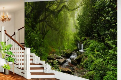 Fototapeta Dżungla Nepalu