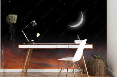 Fototapeta Nocne niebo