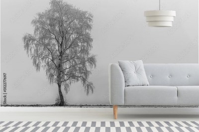 Fototapeta Samotne Drzewo